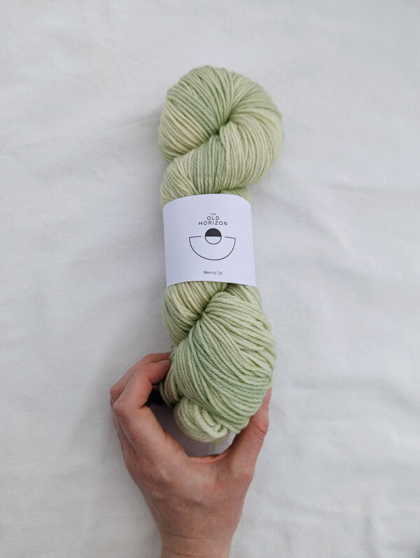 A skein of pistachio hand dyed yarn in DK weight